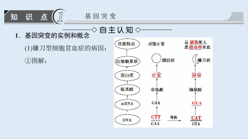 2019_2020学年高中生物人教版必修二课件：第5章 第1节 基因突变和基因重组 .pdf_第3页