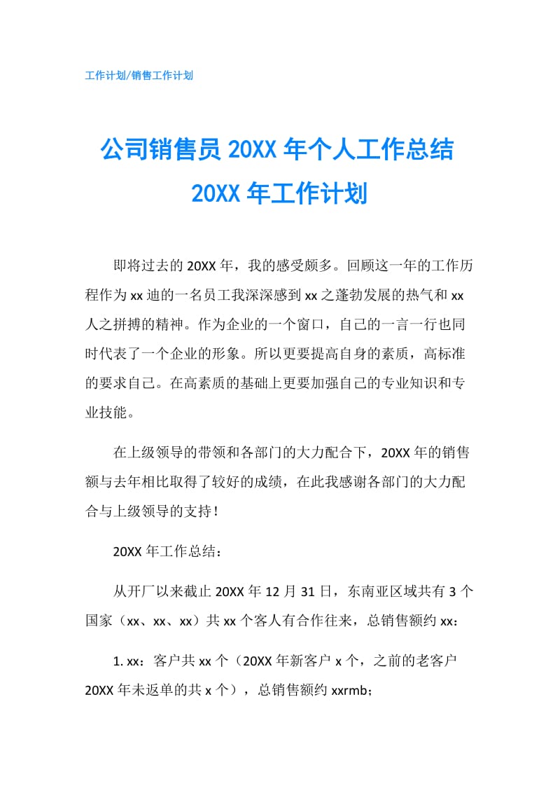 公司销售员20XX年个人工作总结20XX年工作计划.doc_第1页