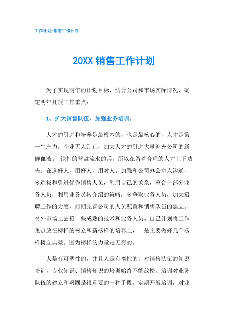 20XX销售工作计划.doc_第1页