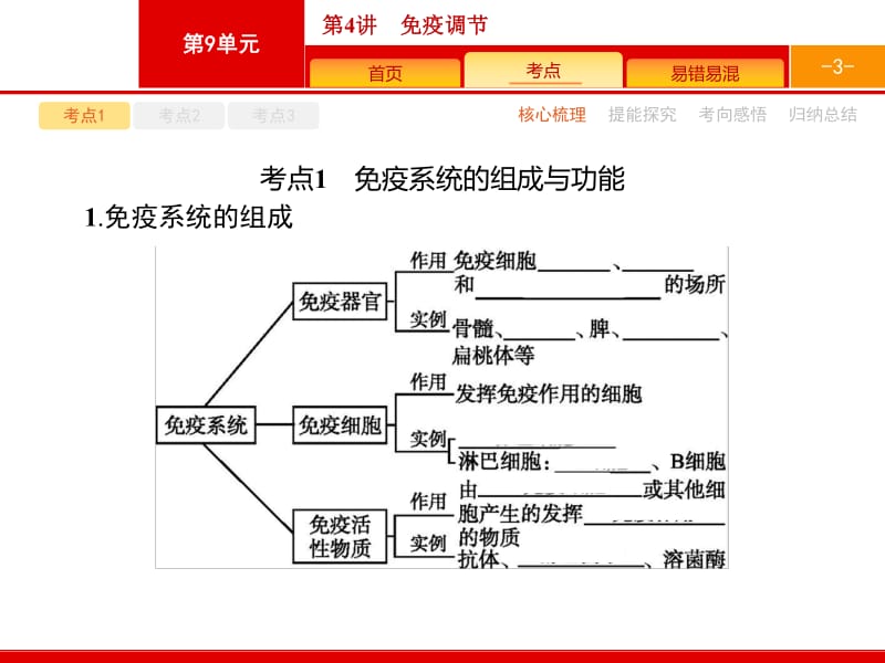 2019高三生物人教版一轮课件：第9单元 人体的内环境与稳态 动物和人体生命活动的调节 9.4 .pdf_第3页