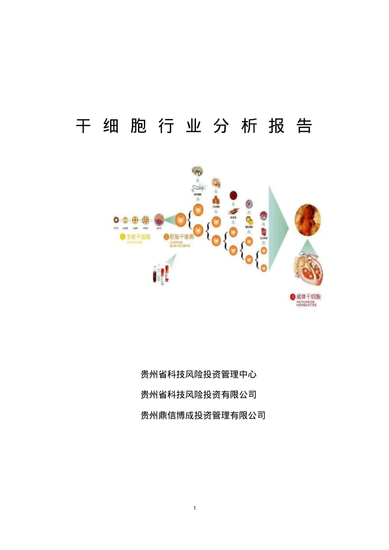 干细胞行业分析分析.pdf_第1页