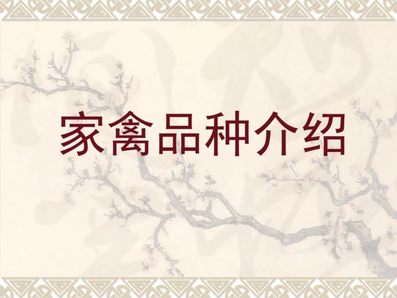 家禽品种介绍分析.pdf_第1页