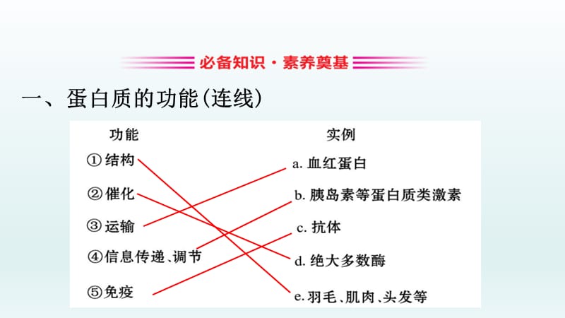 蛋白质是生命活动的主要承担着.pptx_第3页