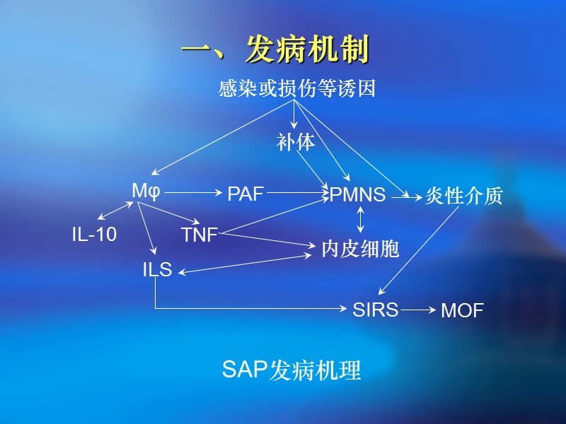 重症急性胰腺炎.ppt_第2页