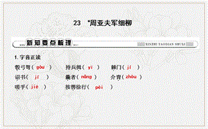 八年级语文上册第六单元23周亚夫军细柳课件新人教版.ppt