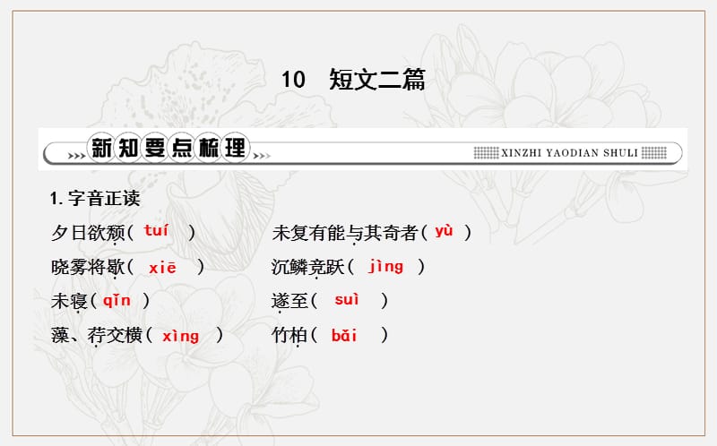 八年级语文上册第三单元10短文二篇课件新人教版.ppt_第1页