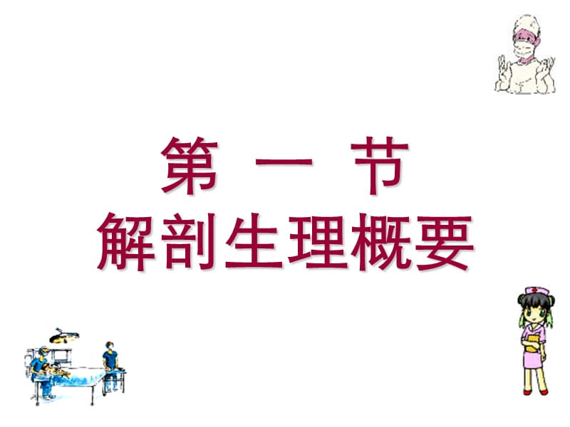 阑尾炎病人的护理.ppt_第2页