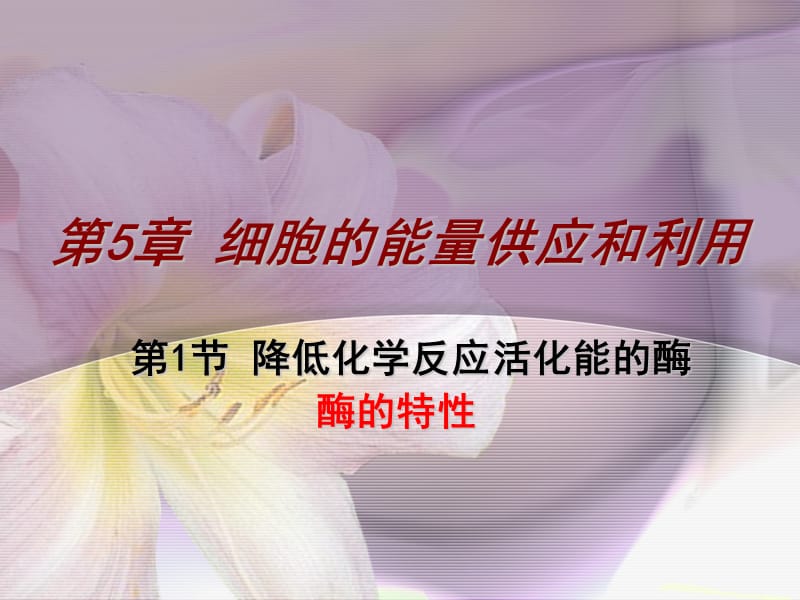 酶的特性(理).ppt_第1页