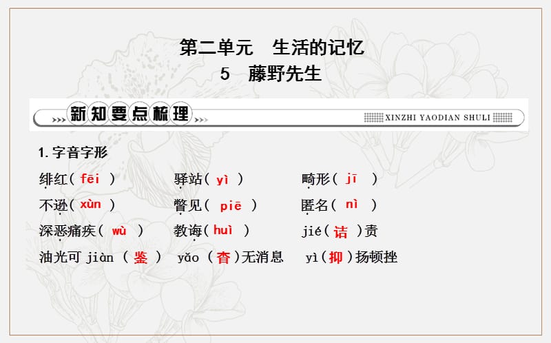 八年级语文上册第二单元5藤野先生课件新人教版.ppt_第1页