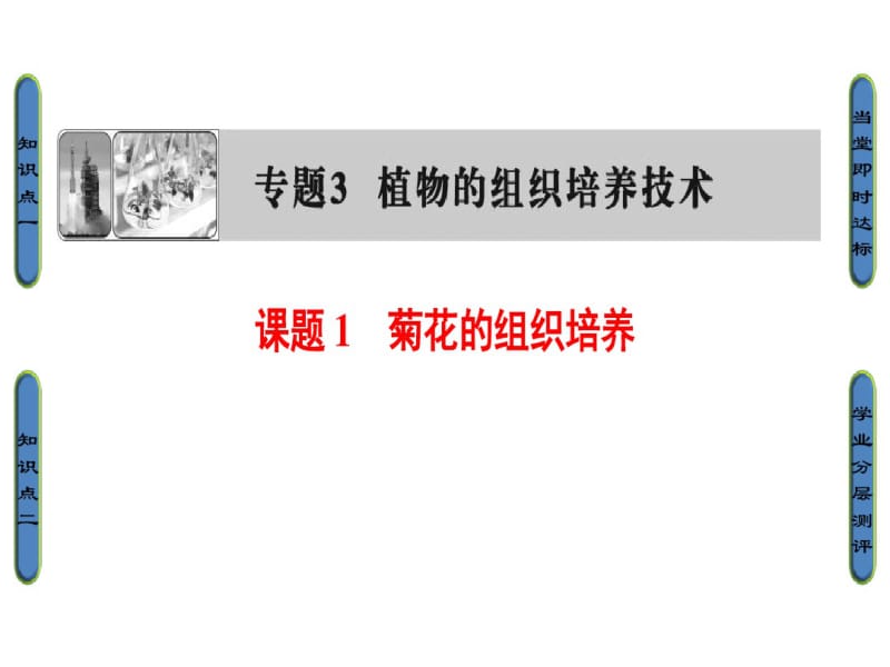 高中生物人教版选修一(课件)专题3植物的组织培养技术专题3课题1.pdf_第1页