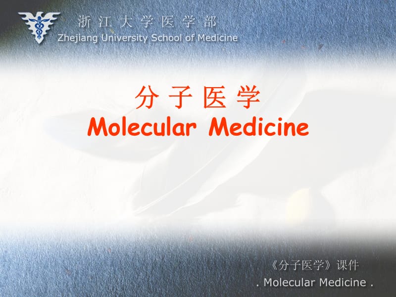 分子医学MolecularMedicine.ppt_第1页