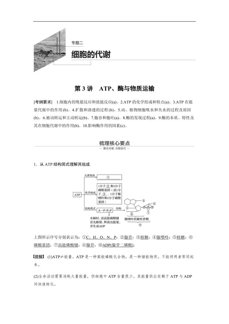 2020高考生物浙江专用大二轮复习讲义：专题二 细胞的代谢 第3讲 Word版含答案.docx_第1页