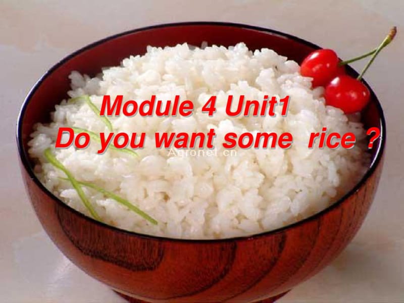 课件Do_you_want_some_rice.pdf_第1页