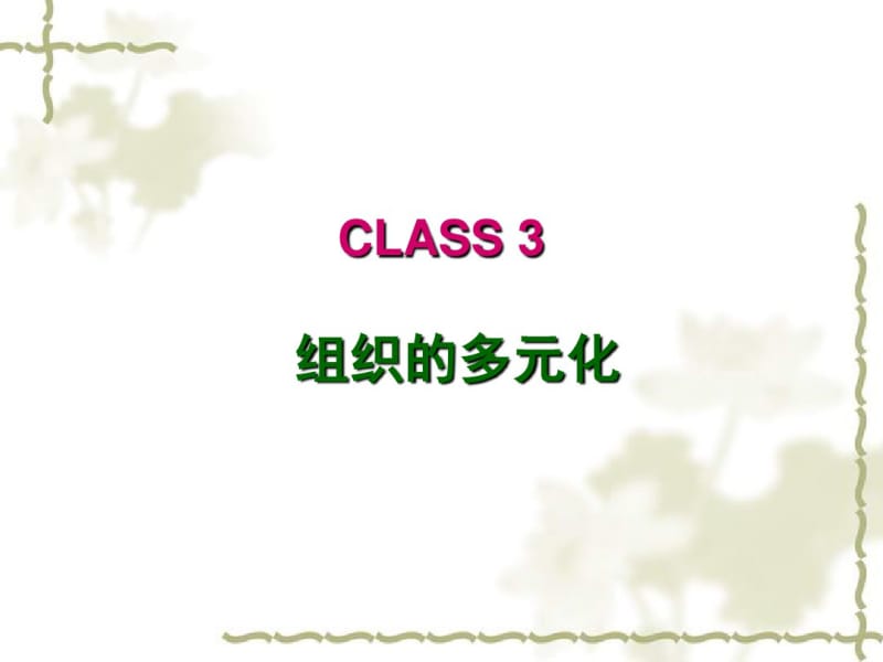 组织行为学CLASS3-(组织的多元化)分析.pdf_第1页