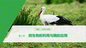 2020高考生物浙江专用大二轮复习课件：专题八 生物技术实践 第17讲 .pptx