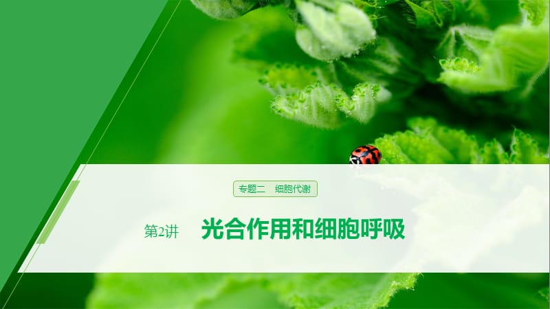 2020高考生物江苏专用提分大二轮复习课件：专题二　细胞代谢 第2讲 .pptx_第1页