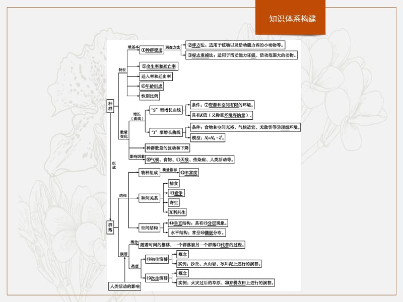 2020版新学优生物同步人教必修三课件：第4章　种群和群落　本章整合 .pptx_第2页