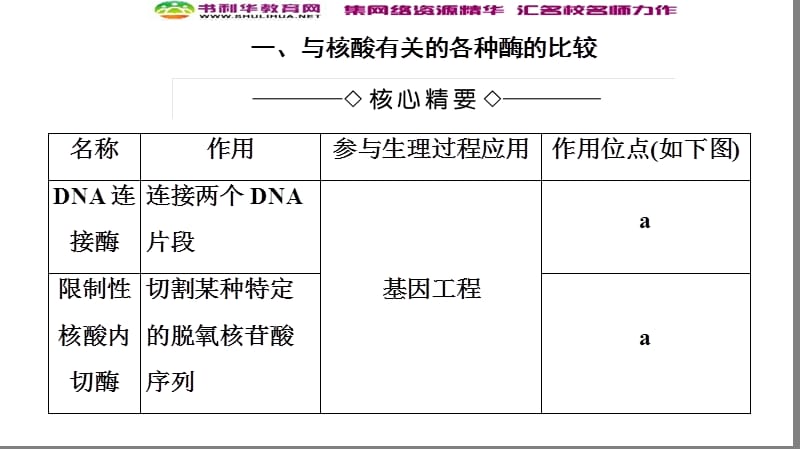 2019-2020学年高中生物新同步苏教版选修3课件：第1章 微专题突破 .ppt_第2页