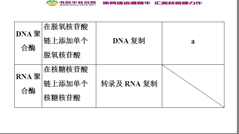 2019-2020学年高中生物新同步苏教版选修3课件：第1章 微专题突破 .ppt_第3页