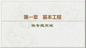 2019-2020学年高中生物新同步苏教版选修3课件：第1章 微专题突破 .ppt