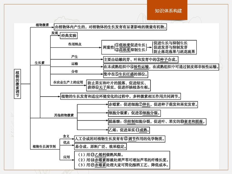 2020版新学优生物同步人教必修三课件：第3章　植物的激素调节　本章整合 .pptx_第2页