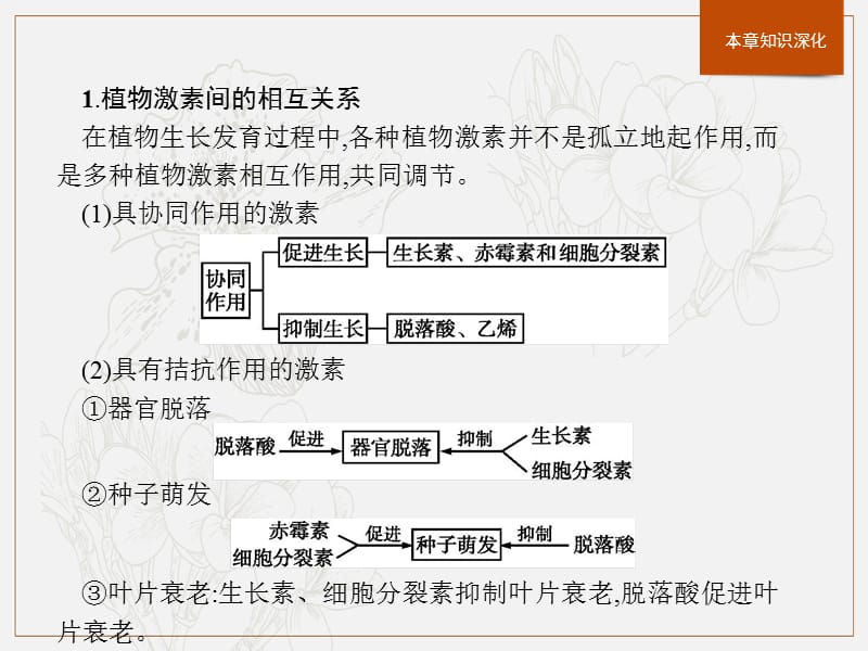 2020版新学优生物同步人教必修三课件：第3章　植物的激素调节　本章整合 .pptx_第3页