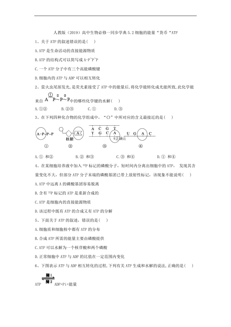 2019-2020学年高中生物人教版（2019）必修一同步学典：5.2细胞的能量“货币“ATP Word版含答案.doc_第1页