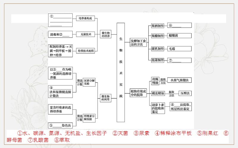 2020版高考生物大二轮专题复习新方略课件：8生物技术实践 .ppt_第3页