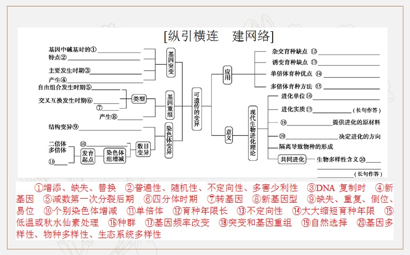 2020版高考生物大二轮专题复习新方略课件：4.3生物变异、育种与进化 .ppt_第2页