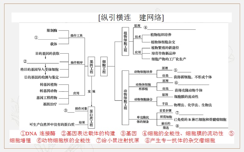 2020版高考生物大二轮专题复习新方略课件：7.1基因工程和细胞工程 .ppt_第2页