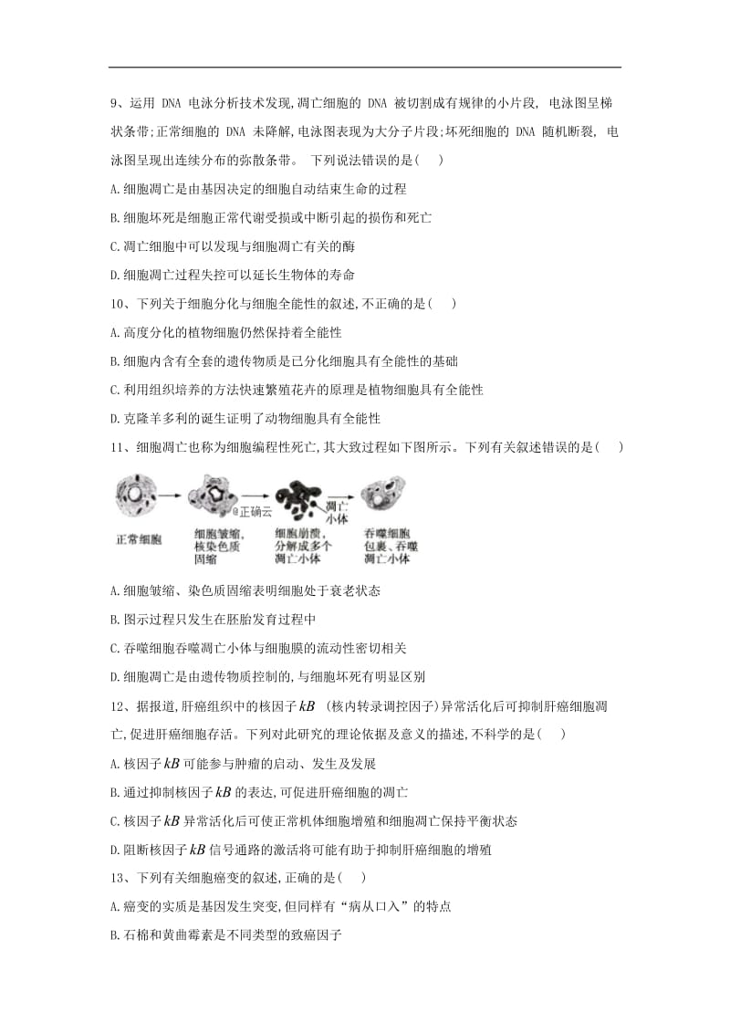 2019-2020学年高中生物人教版必修一单元测试卷：第6章 细胞的生命历程 Word版含答案.doc_第3页