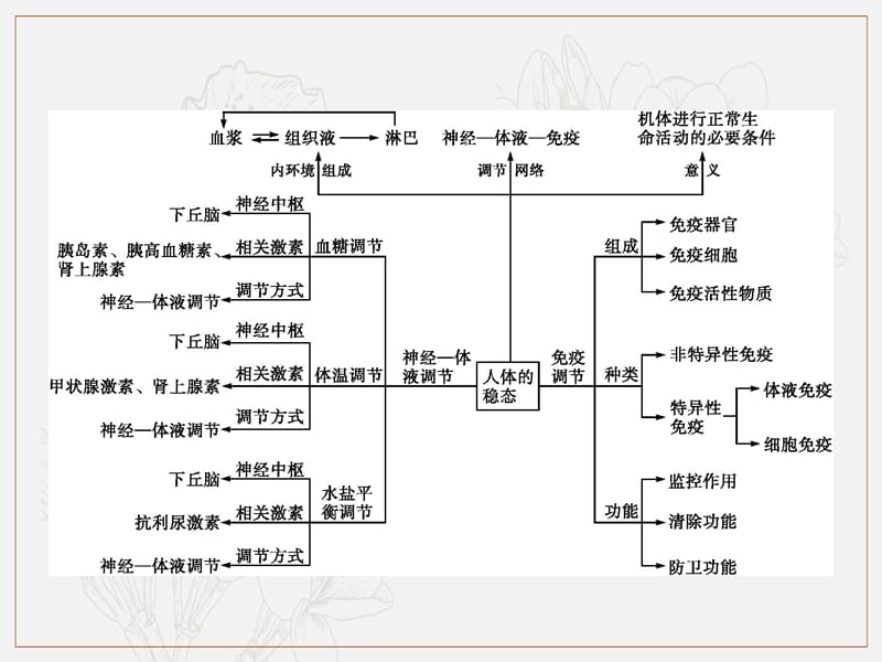 2020版高考生物大二轮培优通用版课件：专题六　第2讲　人体的稳态与免疫调节 .pptx_第3页