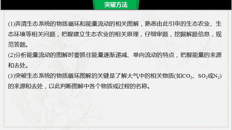 2020高考生物通用版提分大二轮复习课件：专题九　核心题型突破 题型7 .pptx_第3页