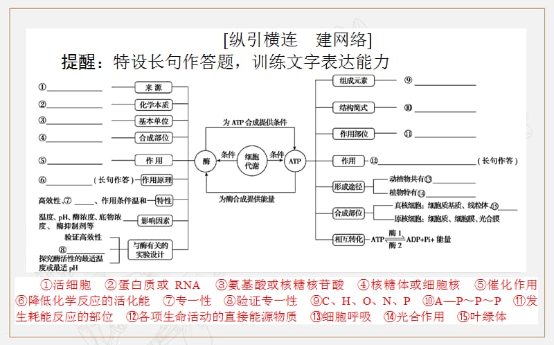 2020版高考生物大二轮专题复习新方略课件：2.1细胞内的酶和ATP .ppt_第2页