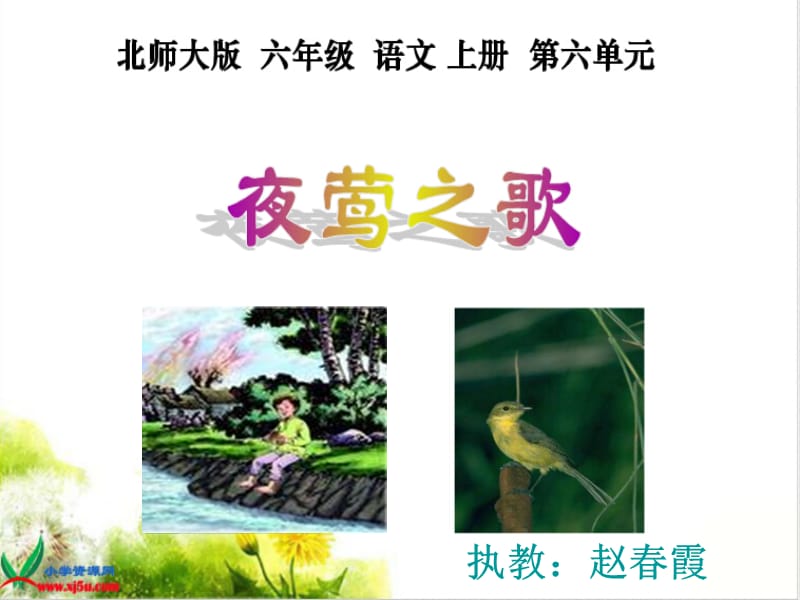 夜莺之歌的教学课件.ppt_第1页