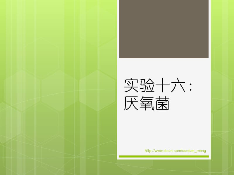 【大学实验】厌氧菌PPT.ppt_第1页