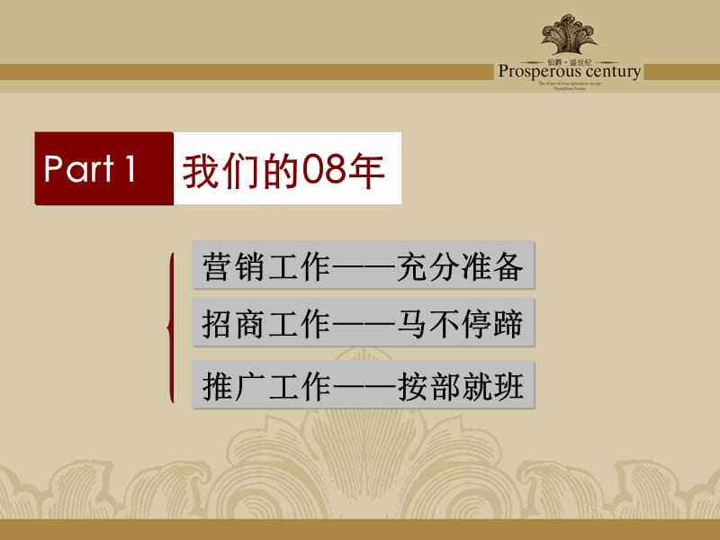 沈阳伯爵·盛世纪 ——开发策略思路整理.ppt_第2页