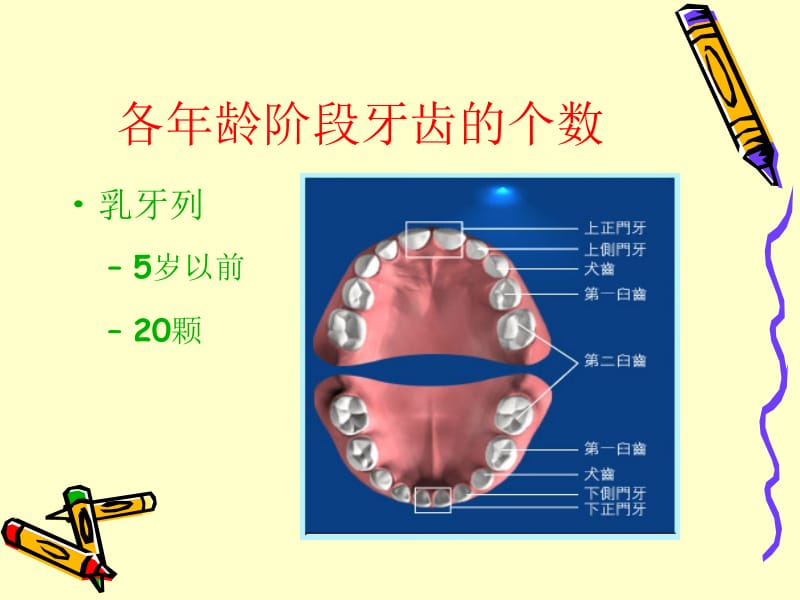 【培训教材】爱牙日医院口腔科宣讲资料 你家宝贝拥有健康的牙齿吗.ppt_第2页