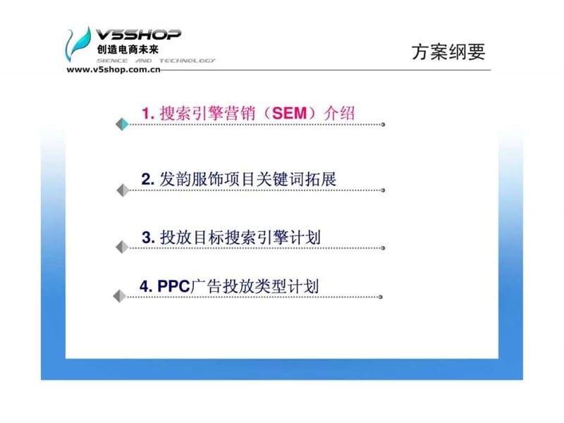 搜索引擎营销(sem)推广方案.ppt_第2页