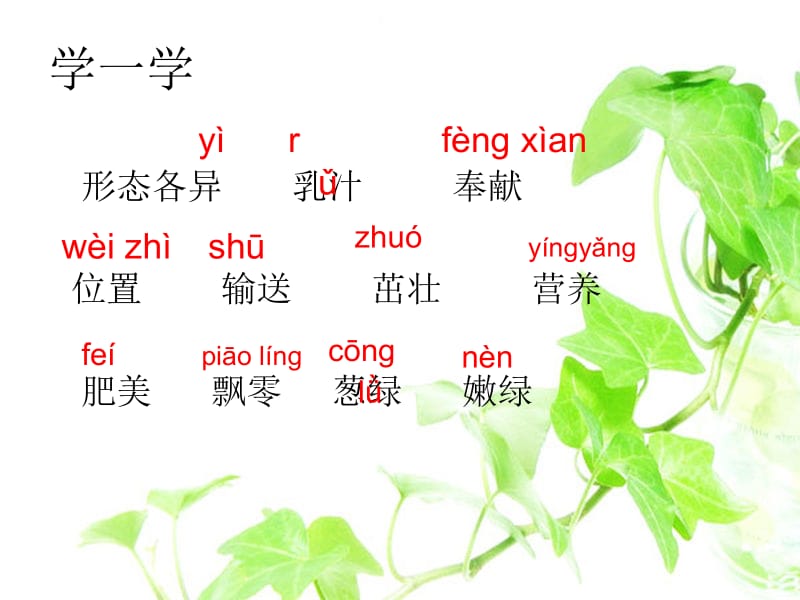 做一片美的叶子(1).ppt_第3页