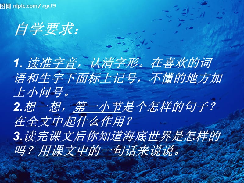 刘晓梅海底世界PPT.ppt_第3页