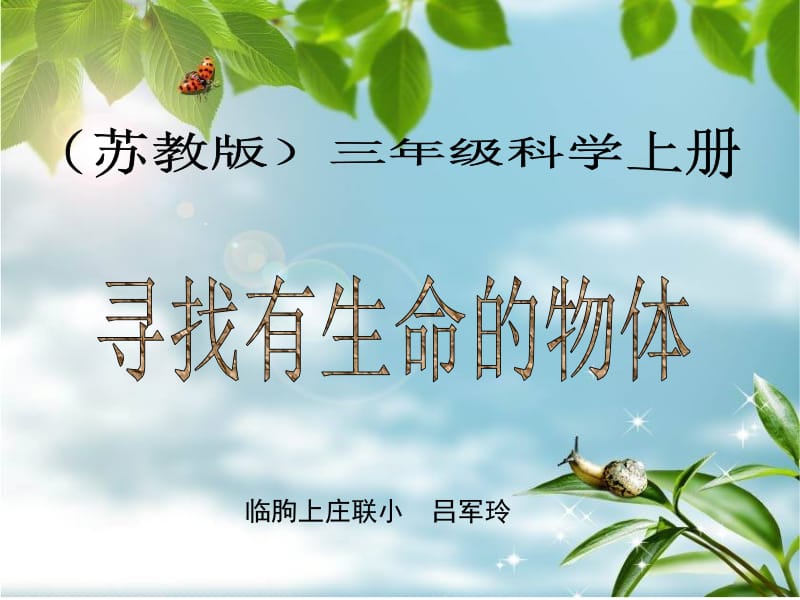 寻找有生命的物体(2).ppt_第1页