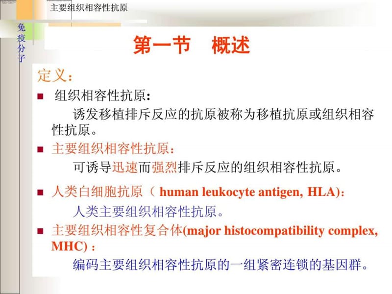 微生物学与免疫学课件——5mhc 1.ppt_第2页