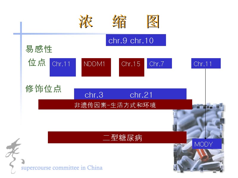 美籍墨西哥人中2型糖尿病的交互作用及发展.ppt_第2页