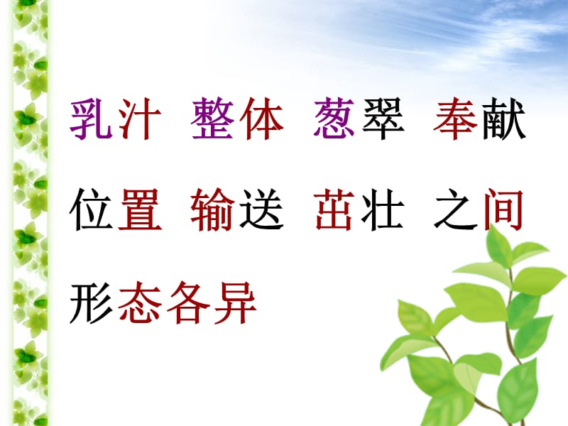 做一片美的叶子ppt课件_(2).ppt_第3页