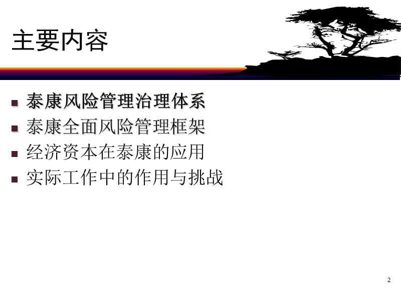 泰康风险管理实践.ppt_第2页