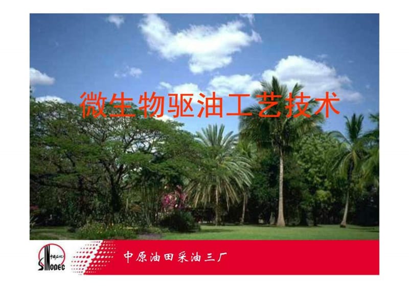 微生物驱油技术.ppt.ppt_第2页