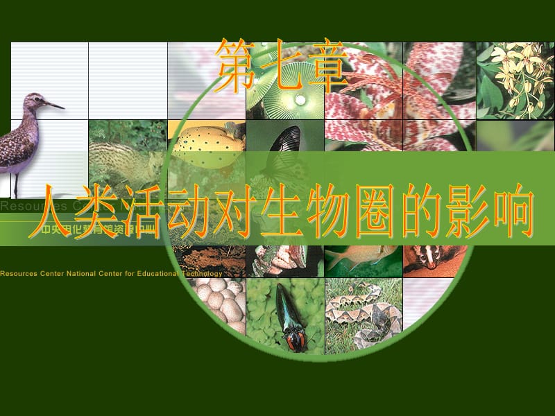 人类活动对生物圈的影响.ppt_第1页