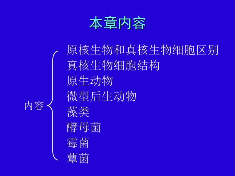 环境工程微生物学-真核微生物 (NXPowerLite).ppt_第2页