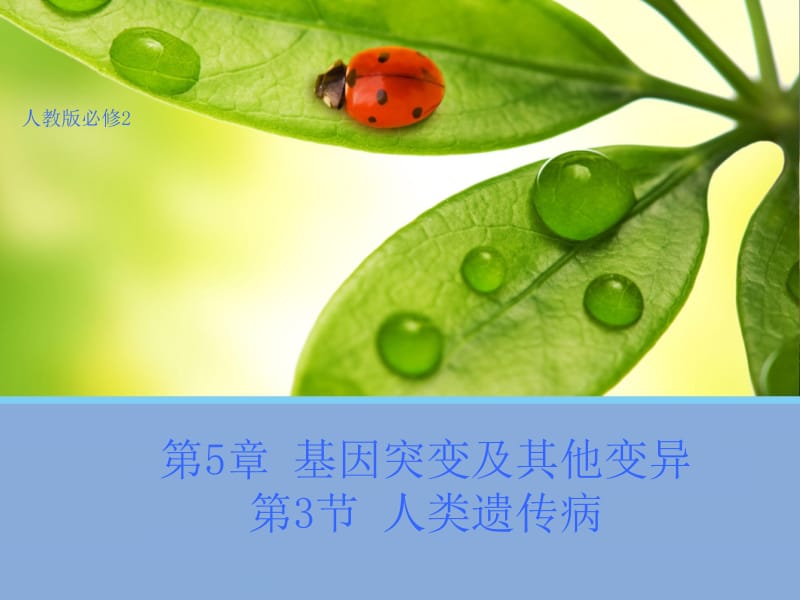 人类遗传病(课件).ppt_第1页